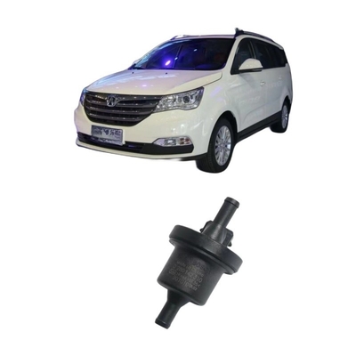 BAIC WEIWANG M35 306 307 M20 M30 205 206 M50F M35M60S50 Kohlenstoffbehälter Solenoidventil