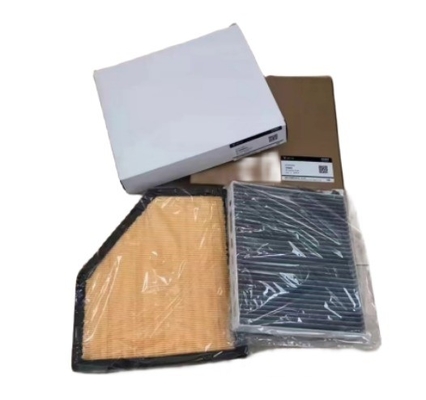 110901000 VOYAH Luftfilter Original Ersatzteile mit Standardgröße OE NO. 110901000