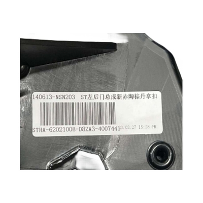 BYD Tang DM-p Tang EV Hintertür Panel Montage für 2015 Modelle STHA-6202100B-D8ZA3
