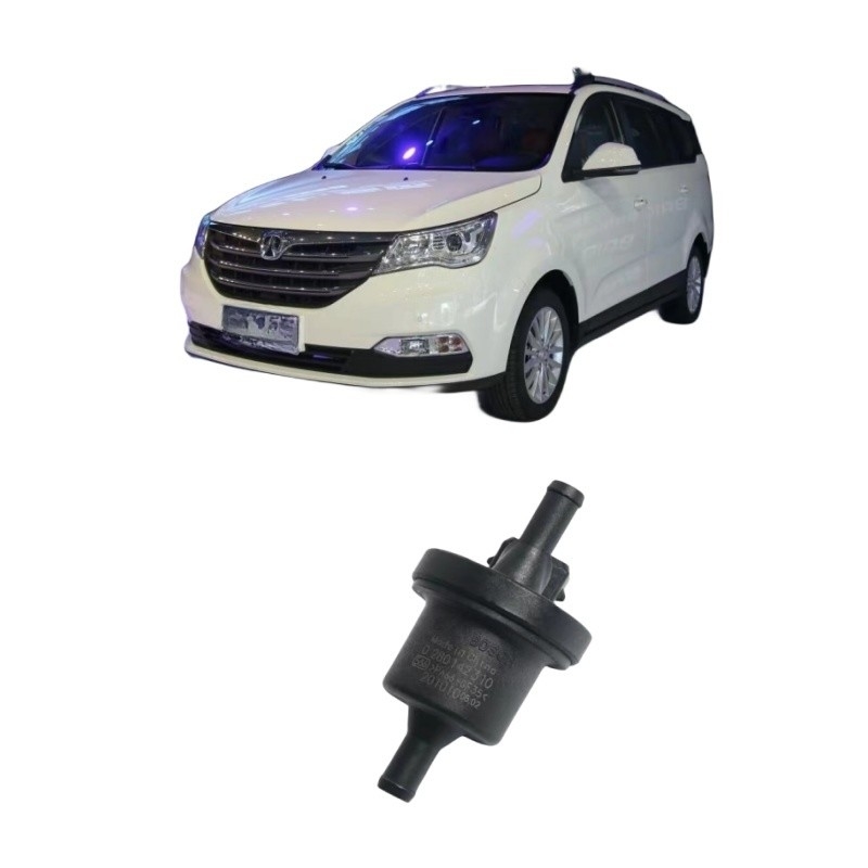 BAIC WEIWANG M35 306 307 M20 M30 205 206 M50F M35M60S50 Kohlenstoffbehälter Solenoidventil