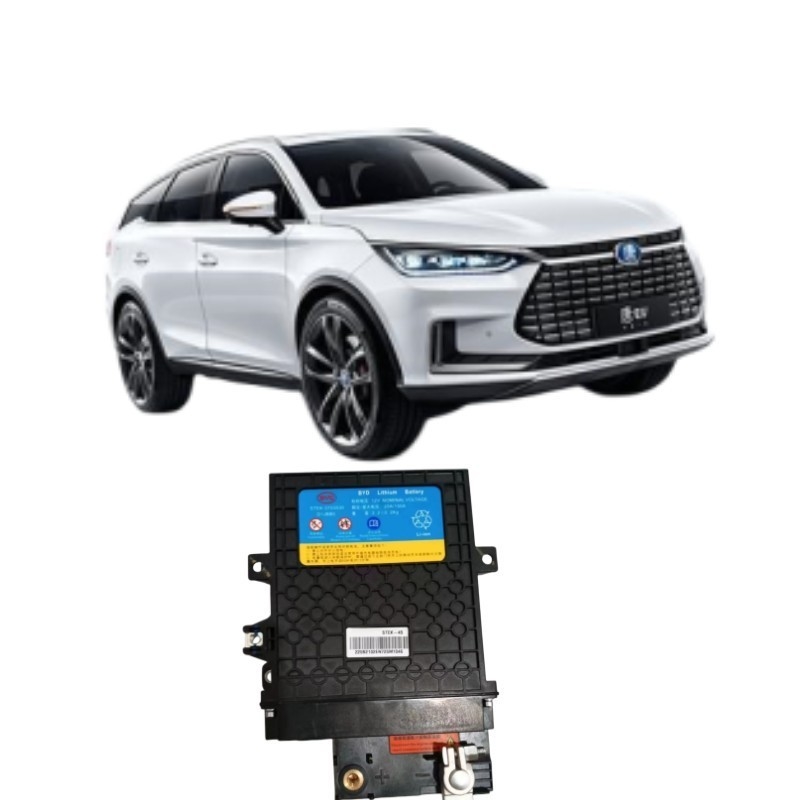 395*291*109mm Schwarz BYD Tang EV Starter Eisenbatterie STEK-3703030 für Leistung