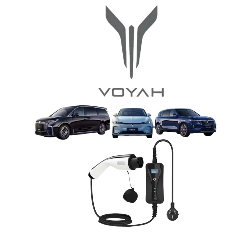 3/Y/S/X Plug-in Voyah kostenlose EV-Spezial-Energie-Ladegeräte-Pilzlinie für das Ladewesen