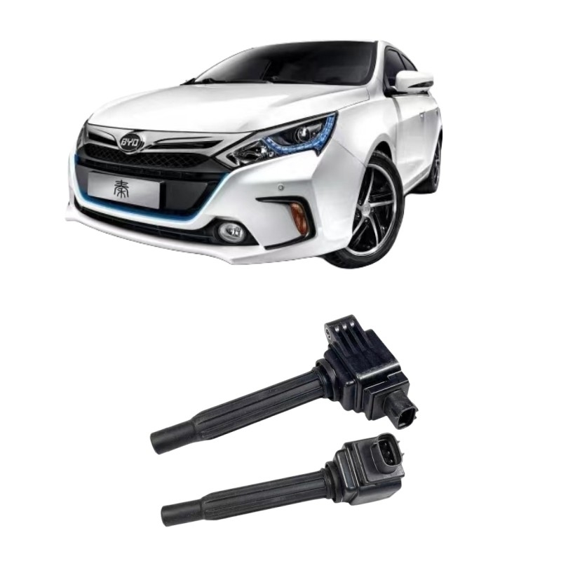 BYD Qin PLUS Song PLUSDM Hochdruck-Pack Zylinder Autoteile für 2019- Auto Fitment